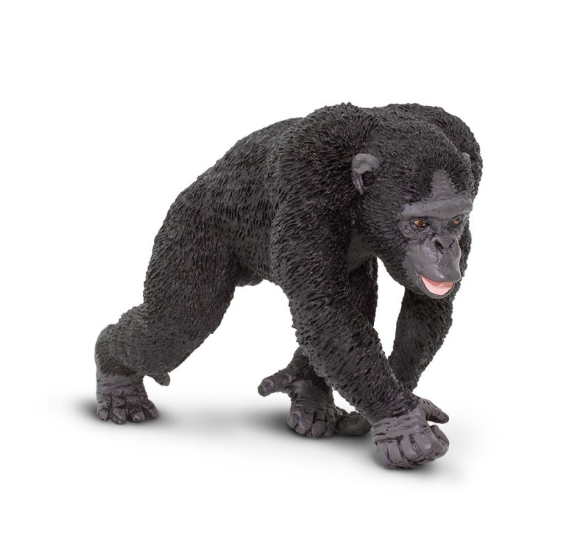 Chimpanzé - Figurines et miniatures | Edunova