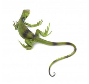 Bébé Iguane - Figurines et miniatures | Edunova 2