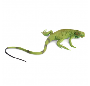 Bébé Iguane - Figurines et miniatures | Edunova