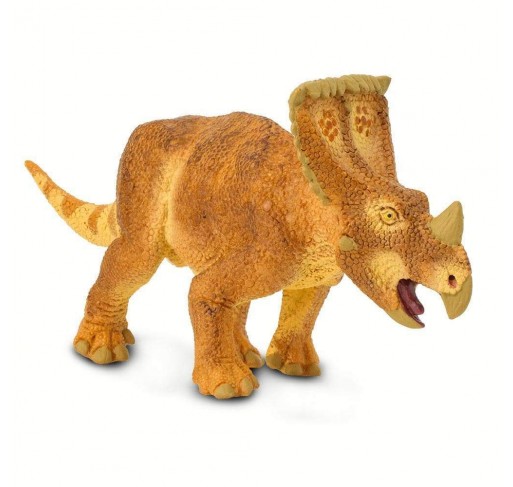 Vagaceratops | Edunova Maroc