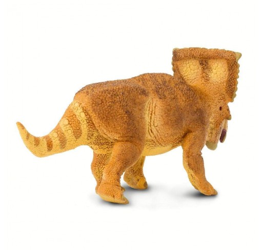 Vagaceratops | Edunova Maroc