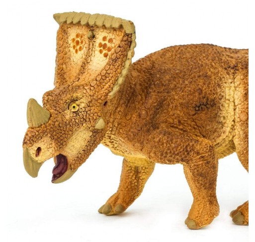 Vagaceratops | Edunova Maroc