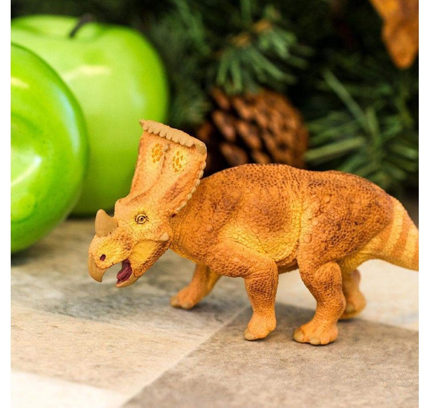 Vagaceratops | Edunova Maroc