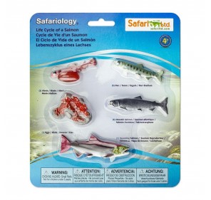 Cycle de Vie Saumon - Figurines et miniatures | Edunova