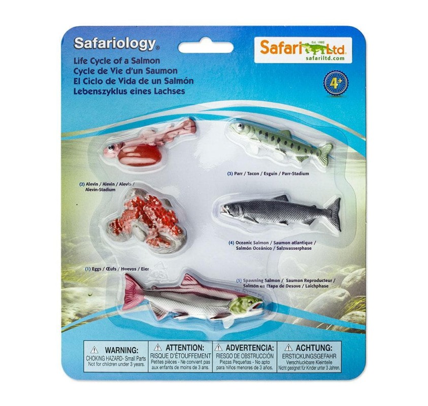 Cycle de Vie Saumon - Figurines et miniatures | Edunova