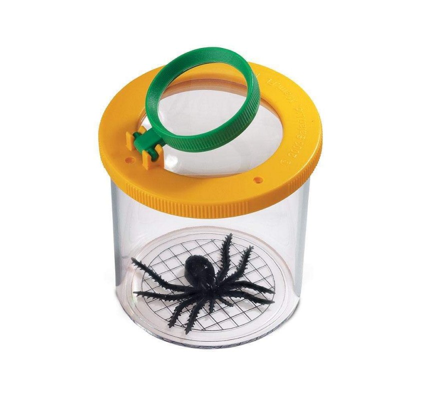 Boîte-loupe À Insectes - Figurines et miniatures | Edunova