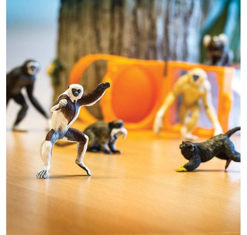 Tube Primates | Edunova Maroc