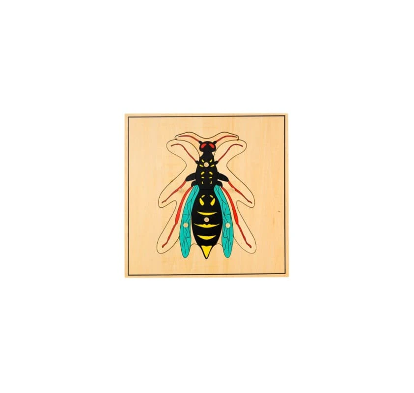 Puzzle de la Guêpe - Matériel Montessori | Edunova