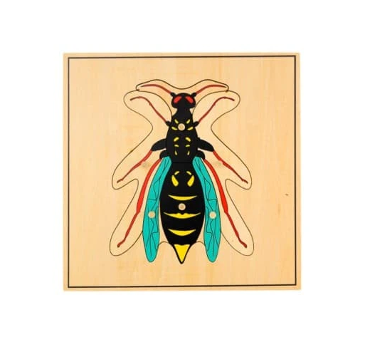 Puzzle de la Guêpe - Matériel Montessori | Edunova