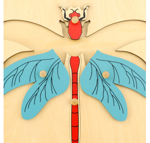 Puzzle de la Libellule - Matériel Montessori | Edunova 2
