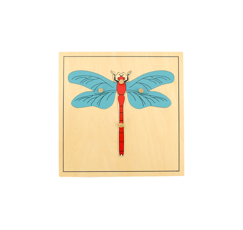 Puzzle de la Libellule - Matériel Montessori | Edunova